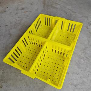 Prix bon marché PP 690*490*160mm jour vieux caisses de poussins en plastique boîte de Transport en plastique pour poussin caneton Gosling - Product Image 3