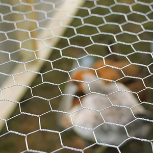 चिकन तार बाड़ लगाने वाले मेज़बल पोल्ट्री वायर नेटिंग आउटडोर एंटी जंग हेक्सागोनल गैल्वेनाइज्ड मेश गार्डन बाड़ - Product Image 2
