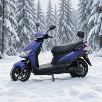 Vélo électrique MAX 1000W à moteur arrière sans balais, style moto, pour ville, vente en gros, valeur compétitive, revendeur mondial