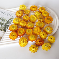 Daisy colorée tête de fleur séchée en gros bricolage matériel paquet paille chrysanthème vraie fleur matériel décoration