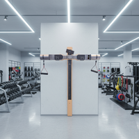 Equipo de Gimnasio Inteligente Ligero AM9 para Entrenamiento Diario en Casa y Oficina, Más de 200 Ejercicios Diferentes con Control por Aplicación, Suministro de Fábrica
