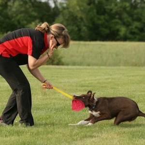 Büyük köpek bite eğitim sürükle yastık dayanıklı interaktif jüt oyun chew oyuncak köpek bite eğitim bite yastık ekipmanları - Product Image 3