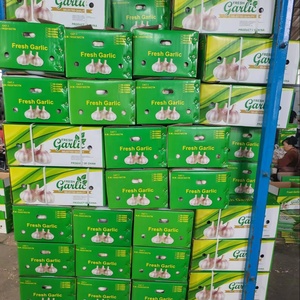 กระเทียมสดสีขาวบริสุทธิ์กระเทียมสดสีขาวธรรมชาติในจีน - Product Image 1