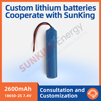 Batterie 18650 en stock usine 3.7V 7.4V 12V pour lampe torche, appareil de test, pistolet de massage, pompe de voiture, lampe aromatique, cellule lithium rechargeable