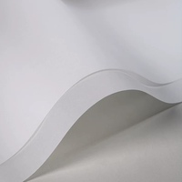Rouleau végétal Papel 60gsm 230g papier vélin a3 a4 papier calque blanc translucide coloré pour imprimé