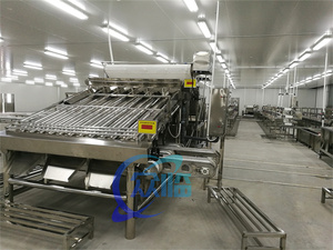 Máquina Automática para Clasificar Camarones, Pelar Camarones, Lavar Langostinos Frescos, Máquina de Clasificación por Rodillos, Clasificadora de Camarones - Product Image 4