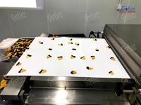 Multifunctionele Plc-Gecontroleerde Roestvrijstalen Sappulp Verwerkingslijnmachine Voor Mango/Passievrucht/Perzik/Pruim/Abrikoos