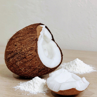 Poudre d'huile MCT pure Richtek, 70 % de triglycérides à chaîne moyenne (MCT) riches en graisses, supplément cétogène en vrac, marque privée OEM