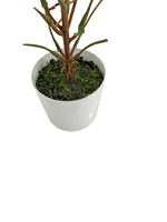 TREESMAS Arbre artificiel à feuilles, Bonsaï 32x40cm, en plastique vert foncé, petit pot, décoration intérieure/extérieure, modèle personnalisable