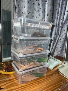 Caja <span class=keywords><strong>de</strong></span> alimentación <span class=keywords><strong>de</strong></span> reptiles ecológica <span class=keywords><strong>de</strong></span> plástico <span class=keywords><strong>de</strong></span> <span class=keywords><strong>segunda</strong></span> generación Diseño antiescape Capacidad <span class=keywords><strong>de</strong></span> 5kg para razas pequeñas-Shougong Ciliary - Product Image 4