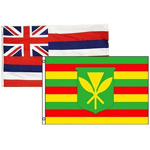 100% Polyester 3 * 5ft <span class=keywords><strong>Drapeau</strong></span> hawaïen des États-Unis avec deux œillets Stock bon marché de la conception emblématique de HAWAII - Product Image 1
