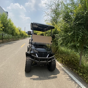 Carrito de Golf Mini de 1000W, Vehículo Utilitario con Batería de 48V para Transporte en Resorts - Product Image 3