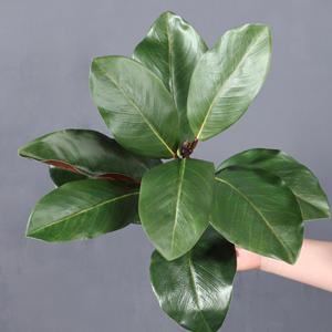 Alta calidad 110cm 2 cabezas Artificial Real Touch látex Yulan Magnolia hojas de naranja ramas de árbol decoración de flores europeas - Product Image 3