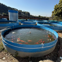 Grand bassin d'élevage intensif en acier galvanisé assemblé pour la culture commerciale de poissons et de crevettes