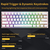 Clavier de jeu mécanique compact YK61 à 61 touches, interrupteurs magnétiques à échange à chaud, touches RGB PBT, filaire Type-C pour Windows et Mac