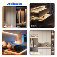 Capteur d'onde manuelle tactile de mouvement PIR remplaçable pour la lumière LED d'armoire de garde-robe de miroir