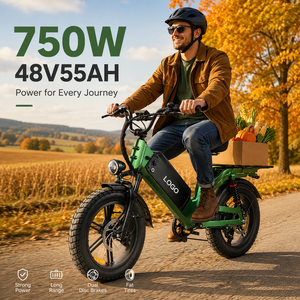 D55 750W 48V 55Ah <b>Electric</b> City Bike with Dual Disc Brakes and Fat Tires for Long Range Commuting - Product Image 1