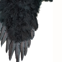 HS gros décor réel or bleu rouge noir grand long grand adulte ailes de plumes d'ange blanc d'oie pour la fête d'approvisionnement festif
