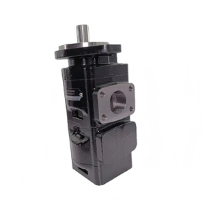 Pompe à engrenages hydraulique personnalisée pour clients Hansen, séries PGM PGP, 7993303R 6111152M92 7029121002 HPX52069, origine Shandong, garantie 1 an - Product Image 3