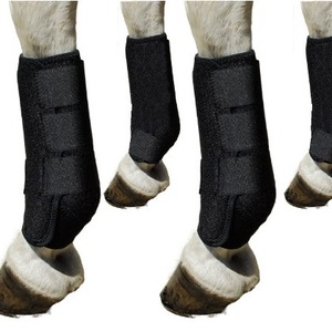 Horse <b>Protective</b> Boots Breathable Mesh Joint Support For Equestrian Riding Equipment - Product Image 5