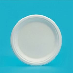 Assiettes en bagasse incassables personnalisées, à compartiments, jetables, pour servir le barbecue - Product Image 2