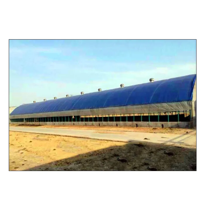Steel structure shed prefab broiler house chicken farm complete poultry house for 1000 chickens