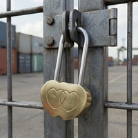 Cadenas de voyage en laiton de 40 mm, forme cœur, étanche, antirouille, avec anse renforcée, à clé, pour bagages, salle de sport, porte, valise, vente en gros OEM