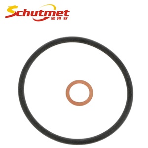 Filtre à huile de voiture de pièces de moteur automobile de haute qualité pour BMW 2 Cabriolet 2014- OEM 11428583898 - Product Image 6