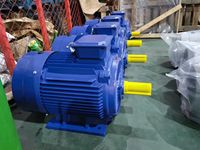 Vente en gros alternateur électrique moteurs électriques à courant alternatif petit moteur à induction synchrone triphasé moteur moteur machine
