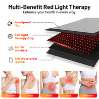 Ceinture de thérapie infrarouge LED haute puissance 660nm 850nm ODM/OEM pour le visage et le corps, pour usage domestique ou animalier