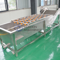 Industriële Kastanje Cashewnoten Reinigingsmachine Jackfruit Palm Dadels Tomatengroente Bubbel Wasmachine