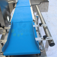 Doseuse de sel industrielle automatique avec garantie d'un an, haute précision 0,01g, personnalisable ODM OEM, en acier inoxydable, avec contrôleur de poids