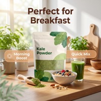 Polvo de Kale Orgánico Sin OMG HALAL, Grado Alimenticio, Venta al Por Mayor, 24 Meses de Vida Útil para Bebidas