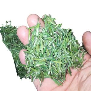 Thé vert de printemps, Maojian, Biluochun, Longjing blanc, <span class=keywords><strong>Cuy</strong></span> Songzhen, Que She, matière première pour thé au lait, traitement en vrac - Product Image 5