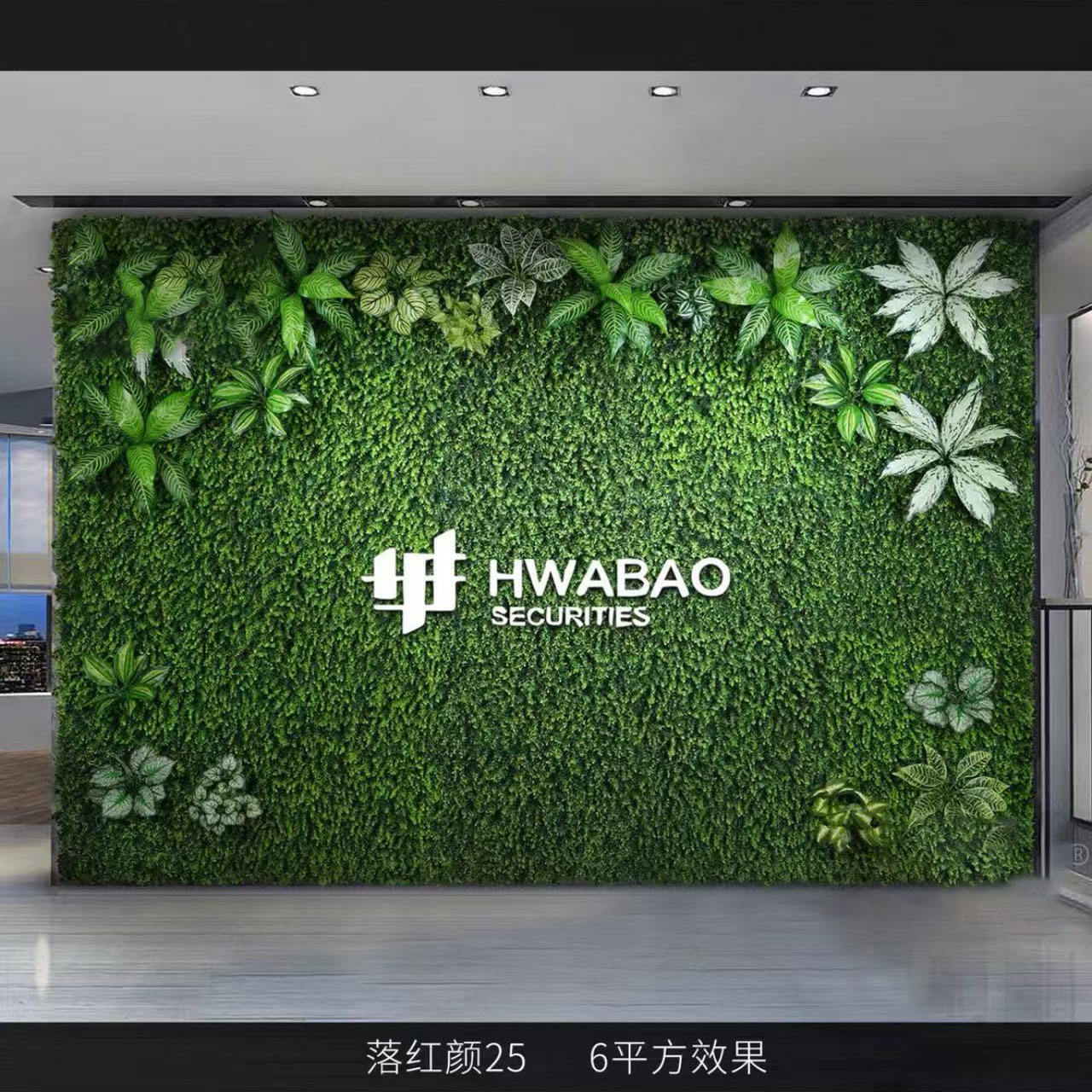 Beauté rouge tombante 25/㎡