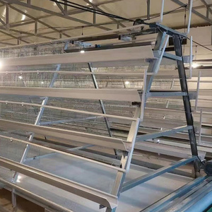 Nuevas Jaulas para Aves <span class=keywords><strong>de</strong></span> Corral Tipo Gallinas Ponedoras, Acero Galvanizado en Caliente, Capacidad para 90-160 Aves, Certificación ISO9001 - Product Image 1
