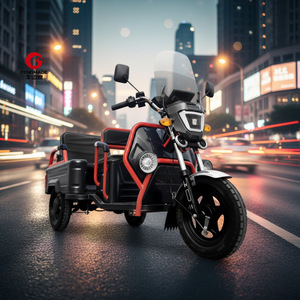 Motocicleta de 3 Ruedas para Carga, Taxi, Pasajeros, EEC, 2 Personas, Triciclo Eléctrico - Product Image 1