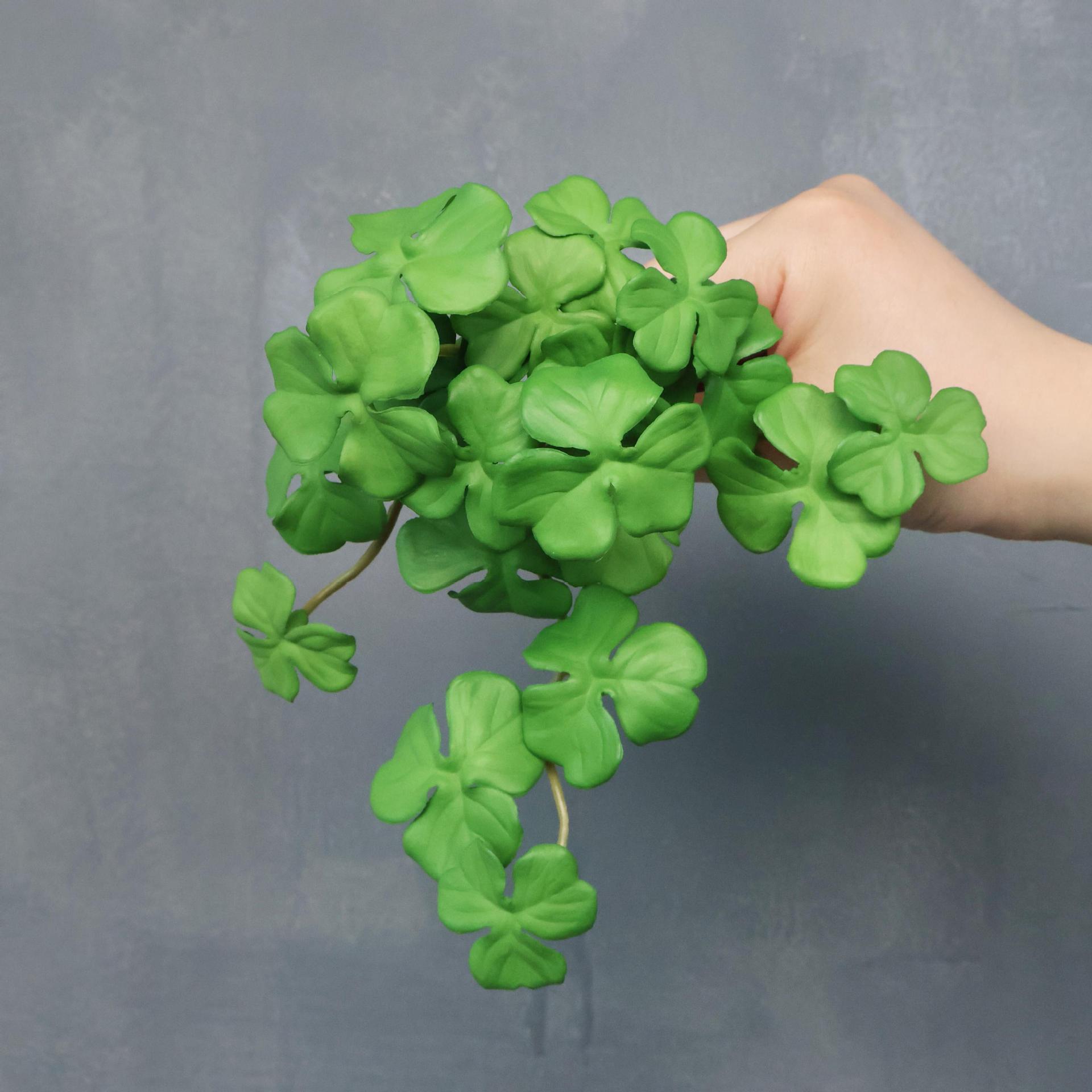 Trèfle petit bouquet vert
