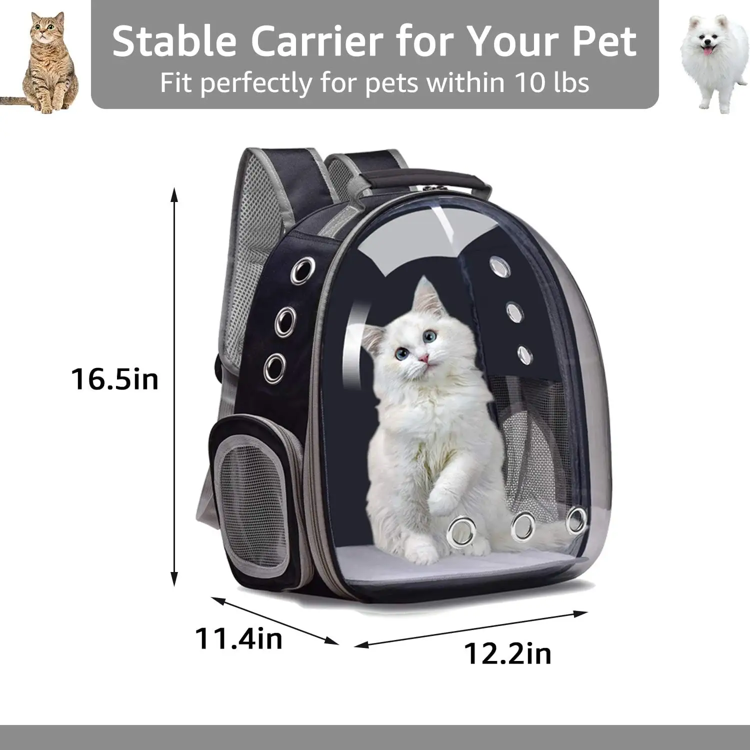 Cat Travel Carry Bag Bubble Cat Backpack Carrier Pet Carrier Bag Transparent for Cat Breathable Mesh Customizable pet backpack
