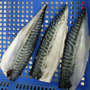 Filete <span class=keywords><strong>de</strong></span> Caballa Saba <span class=keywords><strong>de</strong></span> Noruega Congelado <span class=keywords><strong>de</strong></span> Alta Calidad - Product Image 2