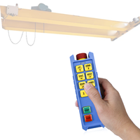 Grúa de puente fácil de operar, cabrestante de elevación eléctrico, camión de elevación, Radio industrial, control remoto inalámbrico, modelo Pro, 2017