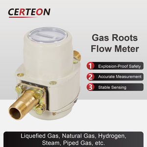 Alat Ukur Aliran Roots DN25 Presisi Tinggi Anti Ledakan Untuk Biogas LPG dan <span class=keywords><strong>Gas</strong></span> Alam - Product Image 5