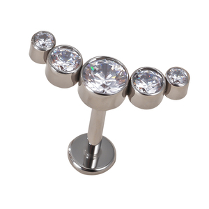 Pendientes <span class=keywords><strong>de</strong></span> Titanio ASTM F136 <span class=keywords><strong>de</strong></span> Alta Calidad con Rosca Interna y Zirconia para Labret, <span class=keywords><strong>Piercing</strong></span> <span class=keywords><strong>de</strong></span> <span class=keywords><strong>Labio</strong></span>, Joyería Punk - Product Image 2