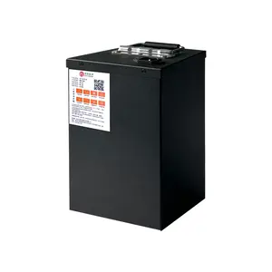 Customized Logo Printing Bt Monitoring 100ah 48v Baterai Lifepo4 Golf Cart Lithium Battery Pack
