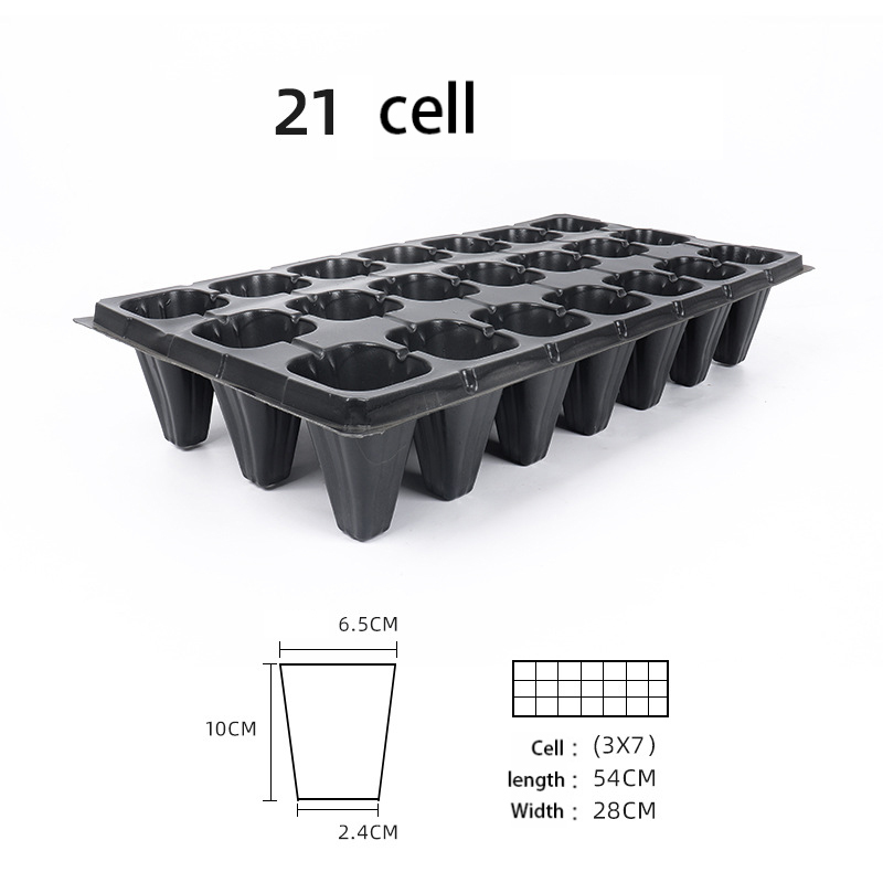 21 Cells