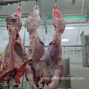 Diseño de 50 <span class=keywords><strong>vacas</strong></span> por día, línea de <span class=keywords><strong>matadero</strong></span>, herramientas de carnicero, gancho de carne, equipo de <span class=keywords><strong>matadero</strong></span> de ganado, ganchos de polea de res, <span class=keywords><strong>precio</strong></span> - Product Image 4