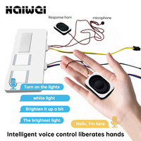 Module d'éclairage à commande vocale à deux touches personnalisé 5A/60W, interrupteur tactile CCT pour miroir de salle de bain