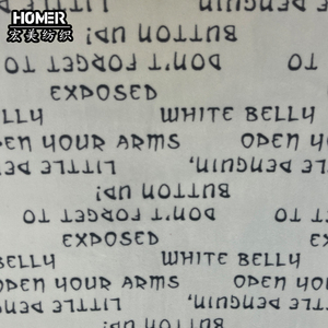 Siêu Mềm Ngắn Đống Vải Sợi Nhỏ Da Lộn Lông Cừu Hà Lan Nhung Với Thư In Ấn Cho Sofa Bìa Đồ Ngủ Chăn Dệt - Product Image 3