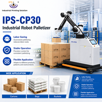 Robot de palettisation haute efficacité IPS-CP30, robot de palettisation de cartons, machine de palettisation, automatisation de la fin de ligne