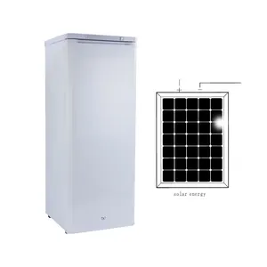 198L Factory Direct Supply Fast Freezing Upright Freezer Freezer Solar